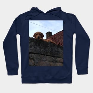 Puppy on the roof in Serbia Hoodie